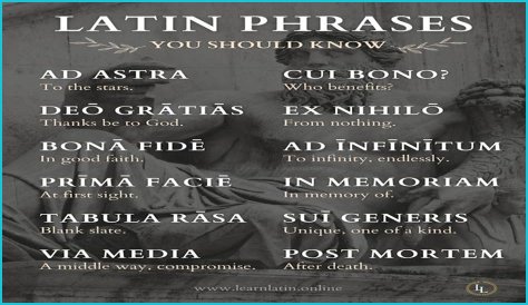 A Profile Of A Latin Beauty