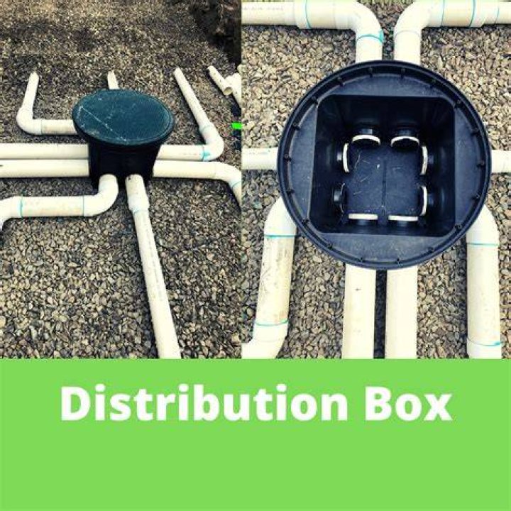 How do I find my septic distribution box?
