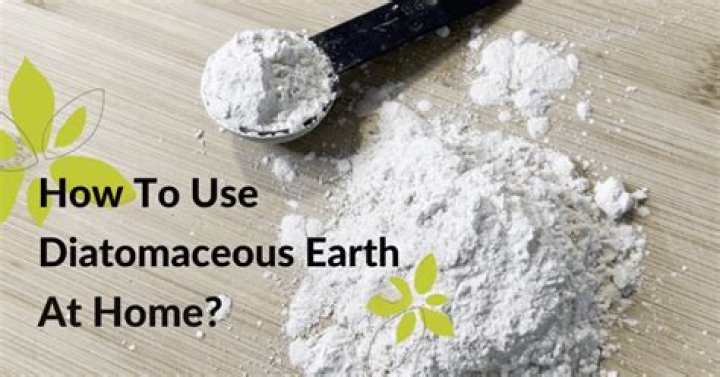 How do you use diatomaceous earth outside?