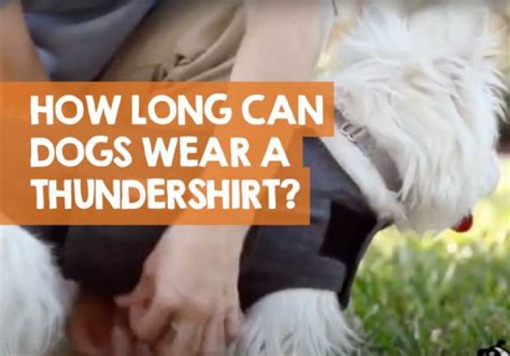 How long can a dog wear a ThunderShirt?