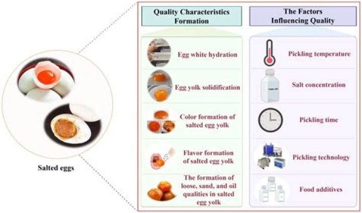 What are the characteristics of objects?