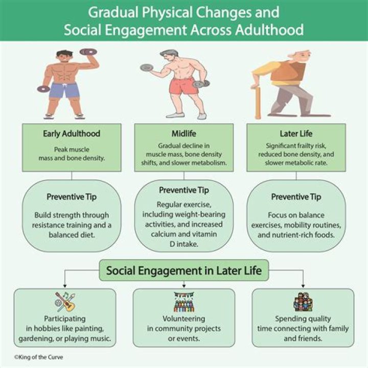 What are the physical changes in middle adulthood?