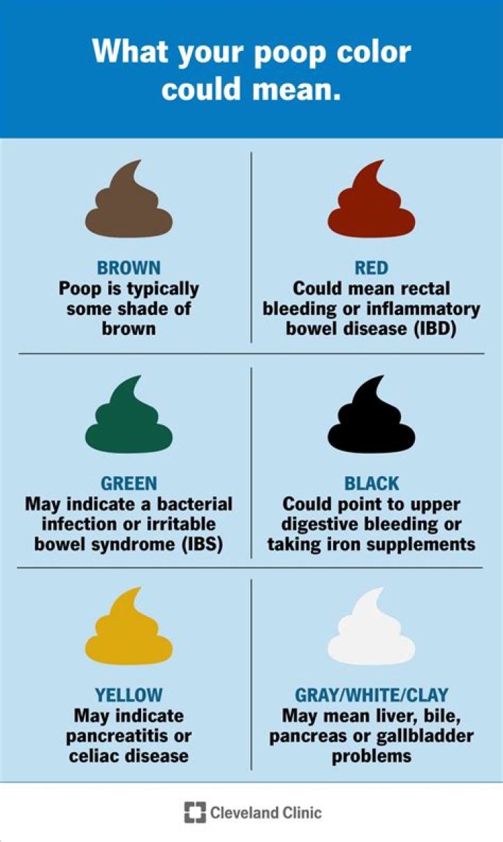 What color is pig poop?