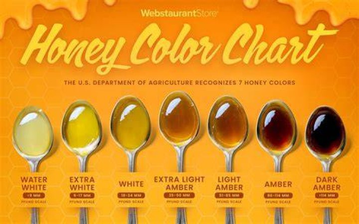 What is the real color of honey?