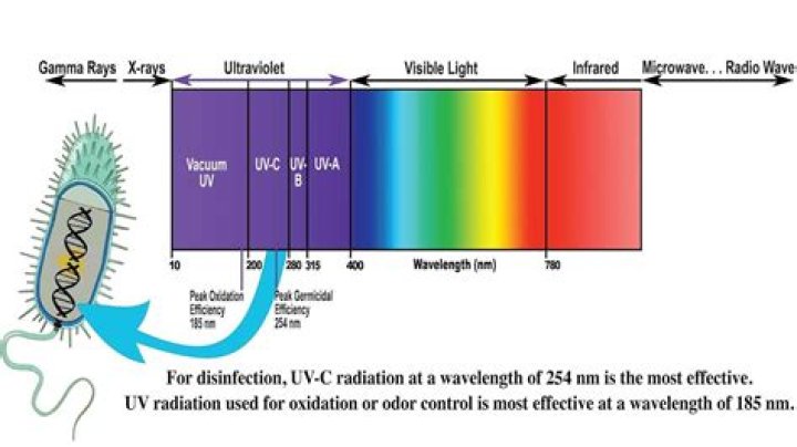Where does UV light come from?