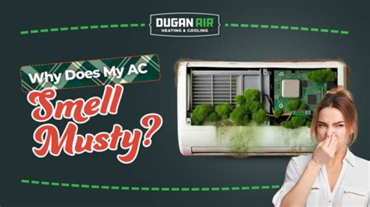 Why do my windows smell musty?