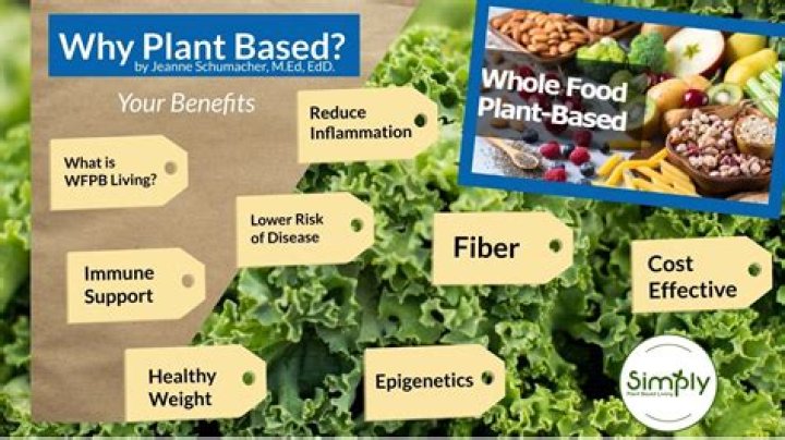 Why plant based diet is the best for good health speech?