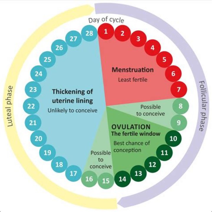 Will I get my period if I start the pill mid cycle?